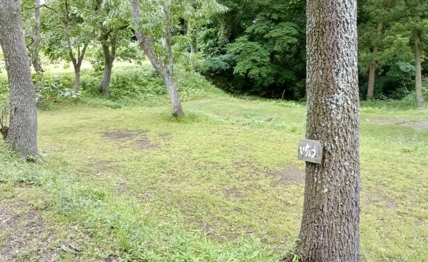 いちょう