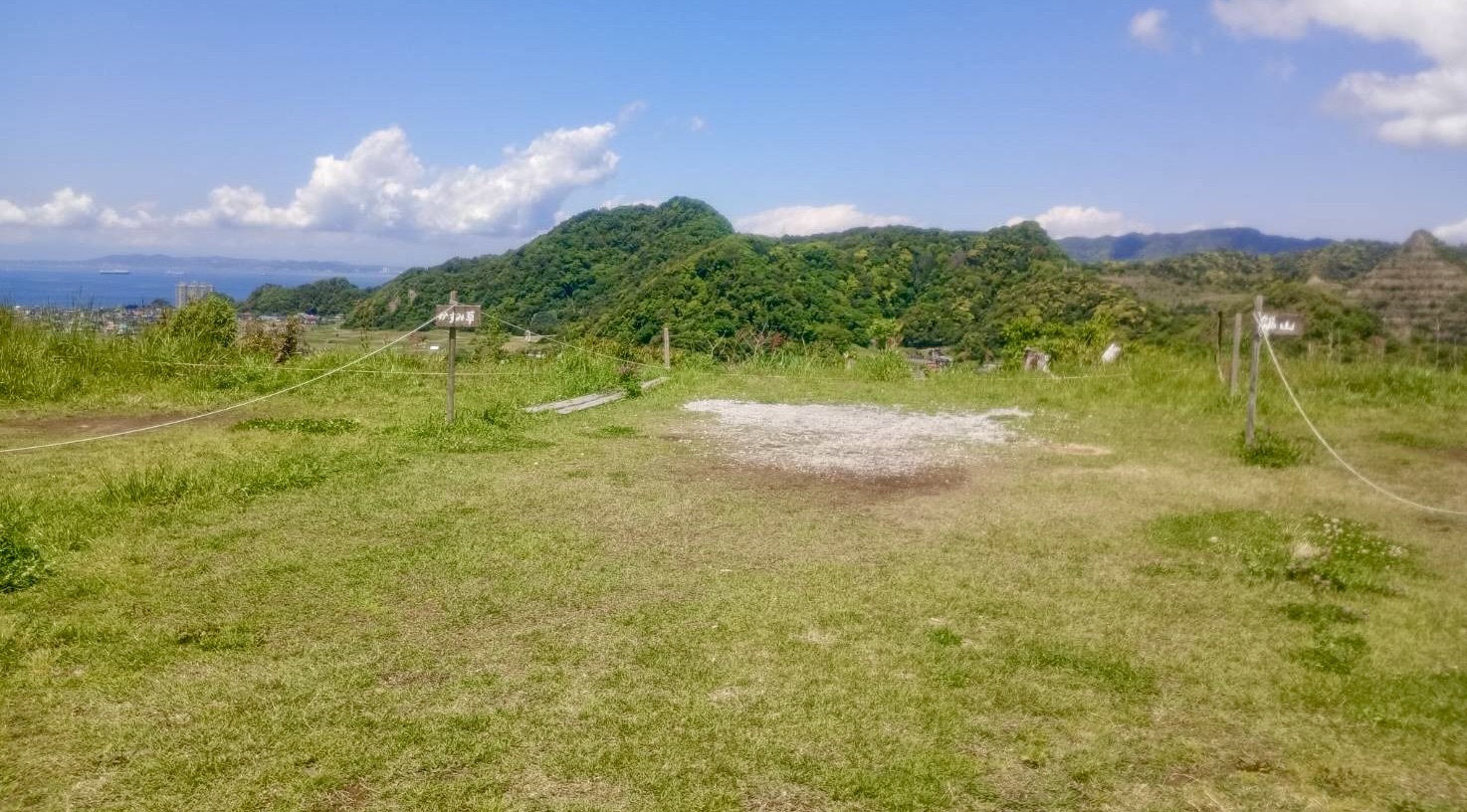 かすみ草