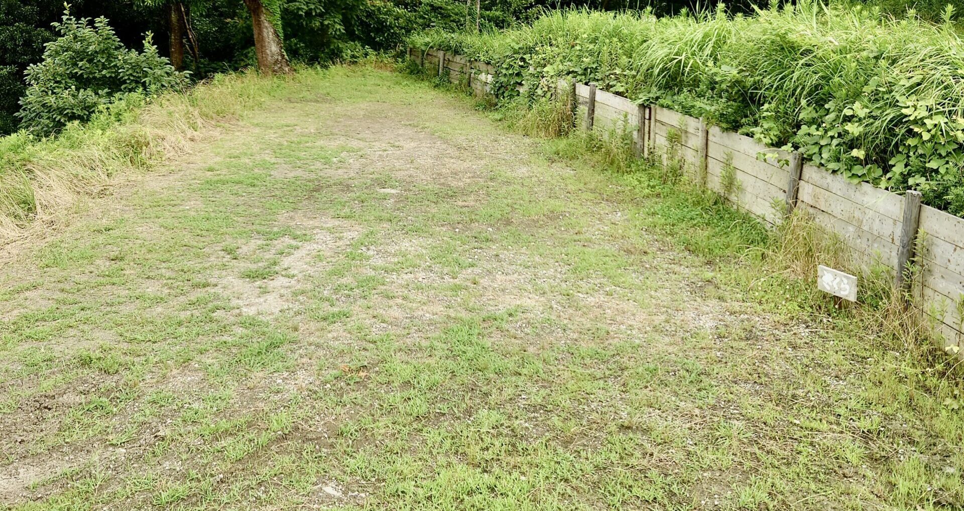 さくら