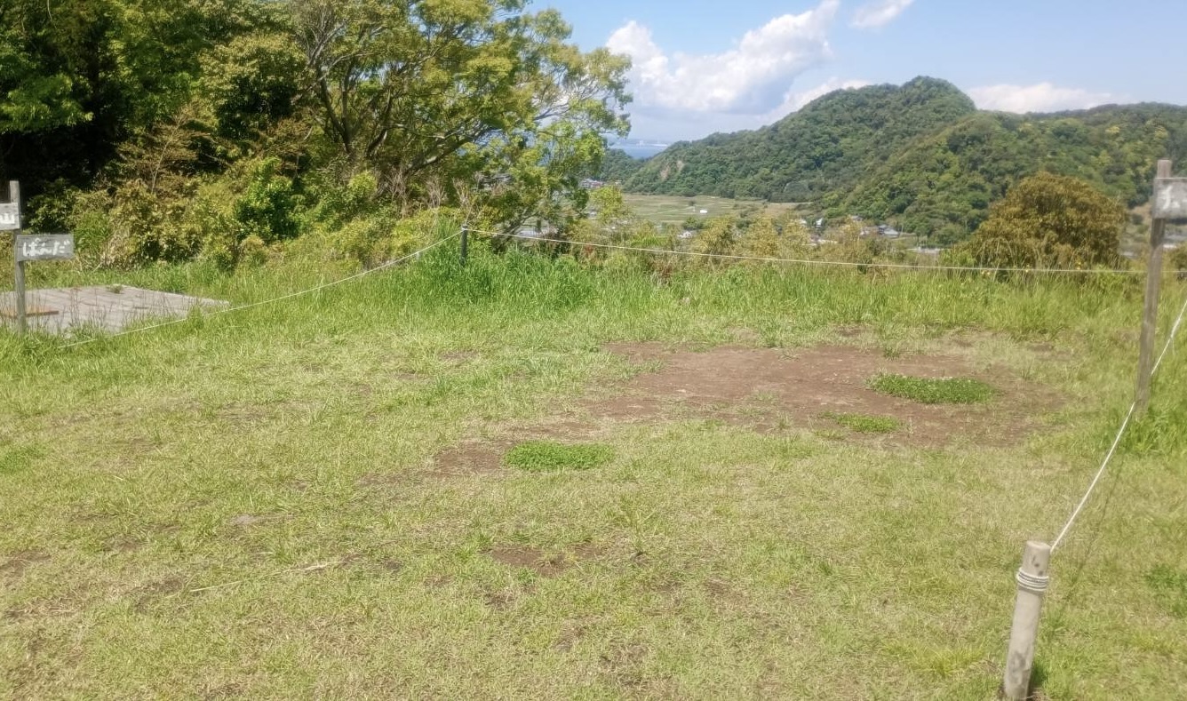 ぱんだ