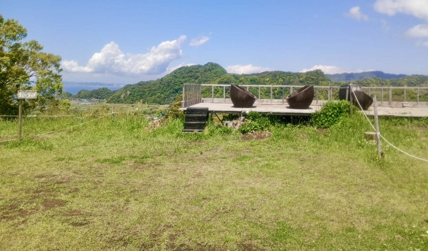 チューリップ