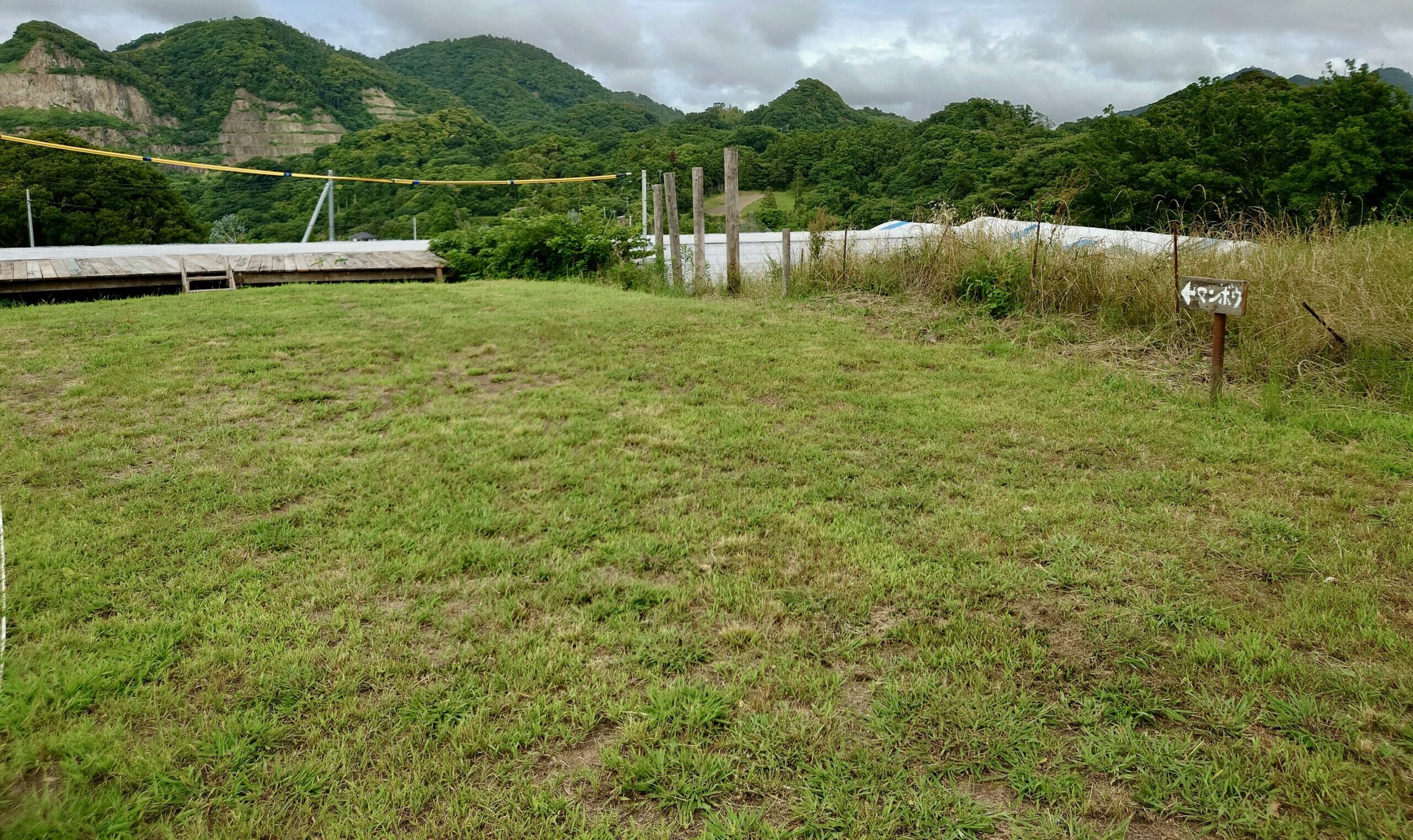 マンボウ