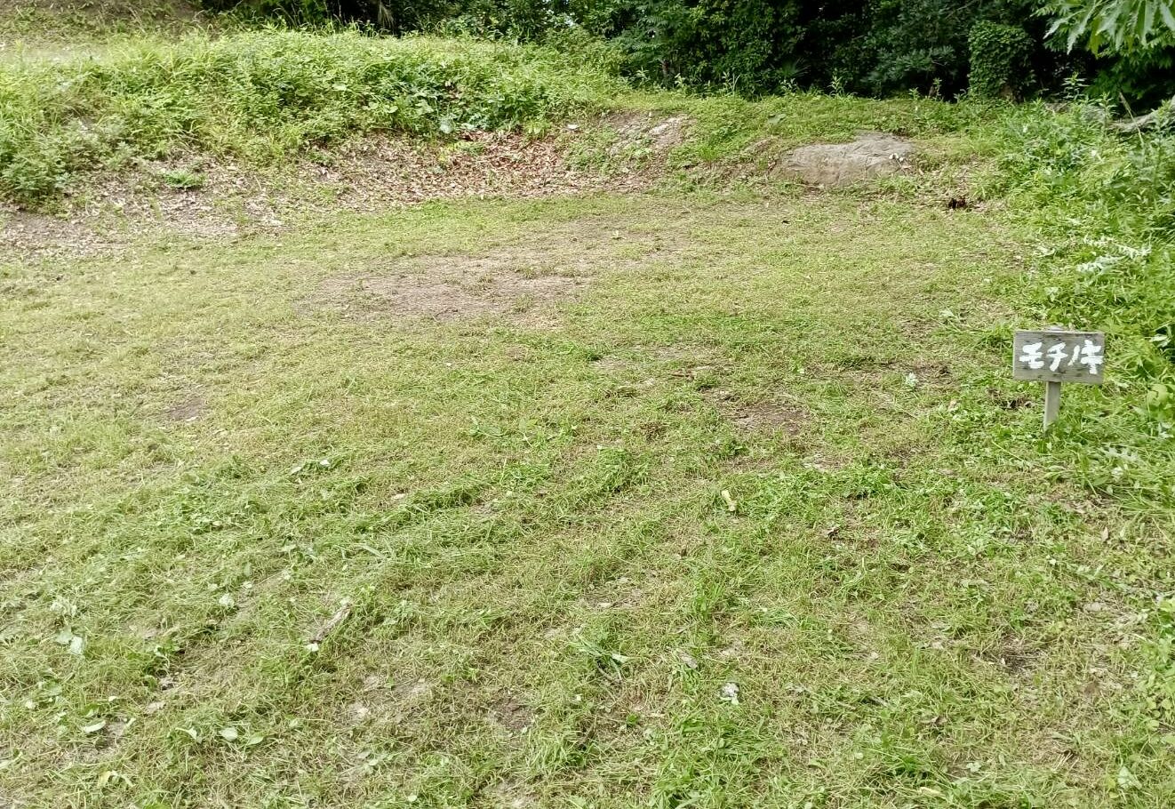 モチモキ